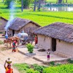 प्राकृतिक खेती से बदलेगी गांवों की अर्थव्यवस्था, यूपी में बनेंगे प्राकृतिक खेती के जिले, नाबार्ड, उपकार-गो-सेवा आयोग मिलकर चलाएंगे अभियान