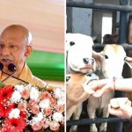 योगी सरकार में गोवंश संरक्षण को मिला आर्थिक संबल: मंडी परिषद का बजट नौ वर्षों में 15 गुना से अधिक बढ़ा